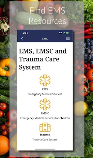 MSDH Healthy App Screenshot 1