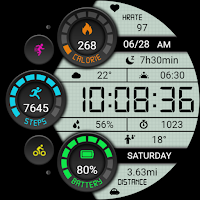 Retro Functional LCD ZKinWatch
