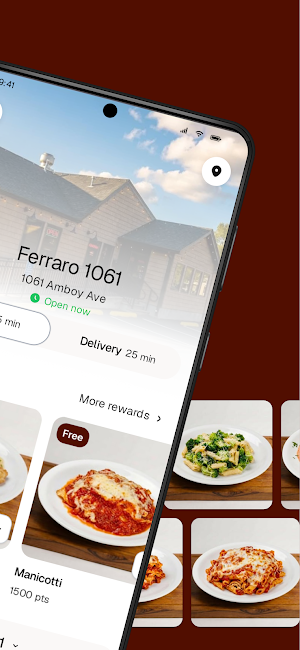 Ferraro 1061 Screenshot 1