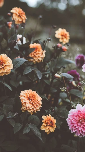 Spring Wallpapers 2022 Screenshot 2
