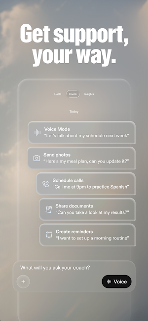 Flourish Screenshot 1