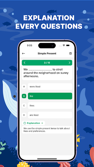 English Grammar Practice Test Screenshot 2