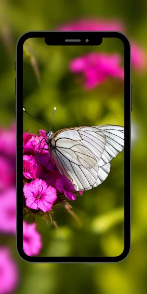 Butterfly Wallpaper Aesthetic Screenshot 3