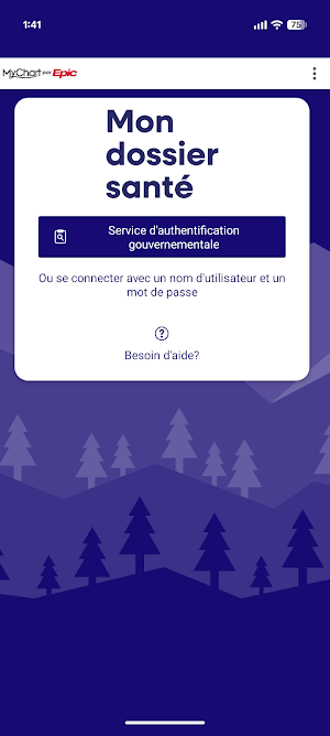 Mon dossier santé Screenshot 0