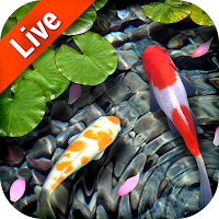 Live Wallpapers