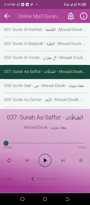 Mouad Douik Offline Mp3 Quran Screenshot 1