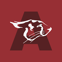 Cheetah Gym Andersonville