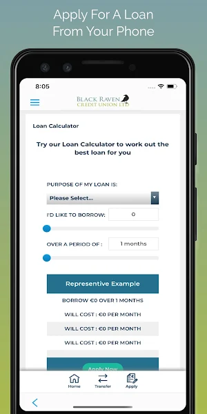 Black Raven Credit Union Screenshot 2