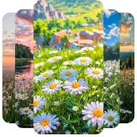Spring Wallpaper