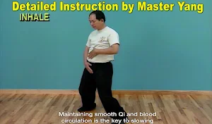 Qigong Massage for Partners Screenshot 3