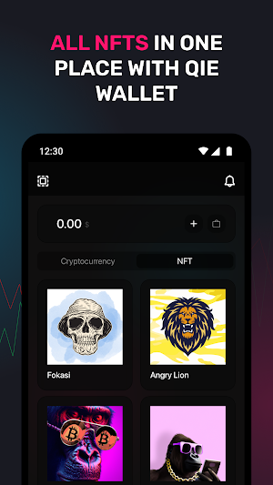 QIE Wallet Screenshot 3