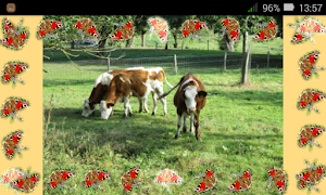 KoetjeBoe Screenshot 1