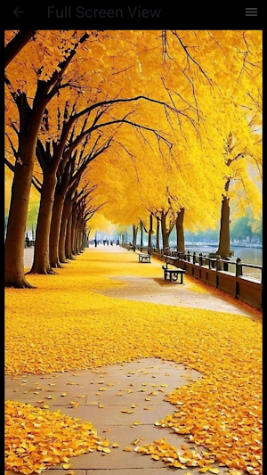 Nature Wallpaper Screenshot 2