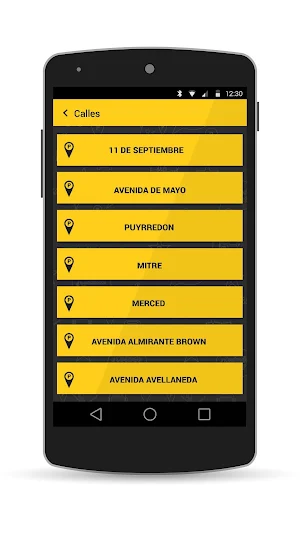 MiBus Bariloche Screenshot 1