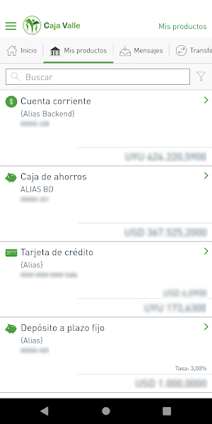 Caja Valle Móvil Screenshot 2