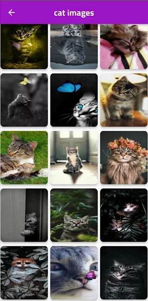 animals picture Screenshot 1