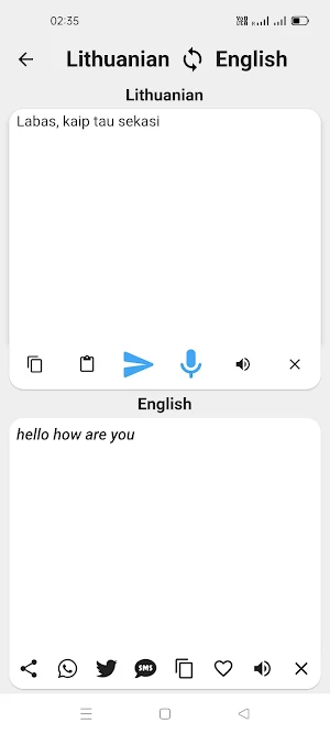Lithuanian  English Translator Screenshot 1