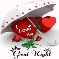 good Night my Love