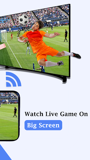 Cast Phone to TV: Chromecast Screenshot 3