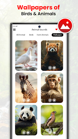Animal Sounds and Bird Sounds Screenshot 3