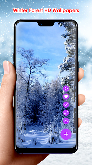 Winter Forest HD Wallpapers Screenshot 2