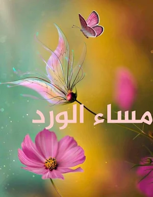 صور مساء الخير Screenshot 3