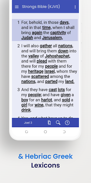 Offline Indonesian Bible Plus Screenshot 3