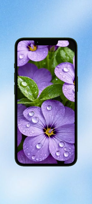 Malva Flower Wallpaper HD Screenshot 2