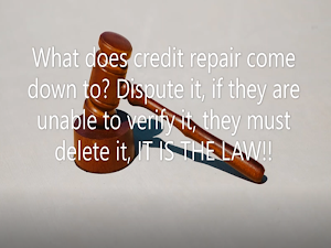 Credit Repair Journey Screenshot 2