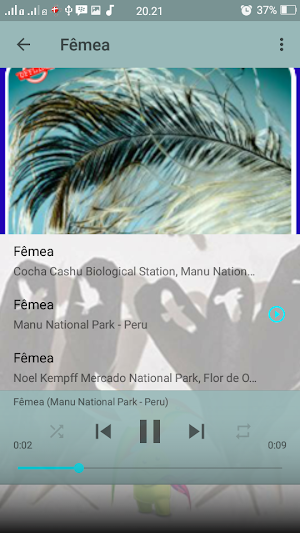 Canto Fêmea de Juriti Gemedeir Screenshot 1