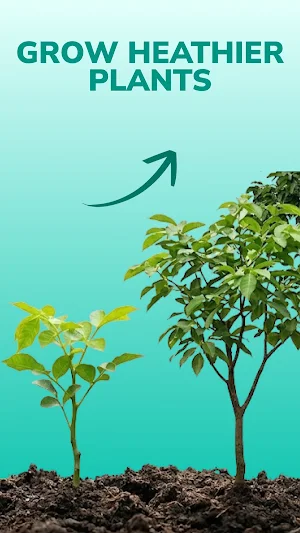 Plant Check: Plant Identifier Screenshot 3