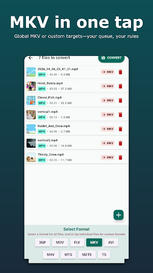 MP4 to MKV Converter Screenshot 1