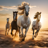 Horse Wallpapers HD