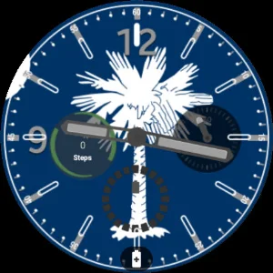 South Carolina Flag Watchface Screenshot 3