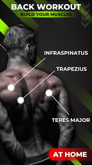 Back Workout: Fat Burn at Home Screenshot 1