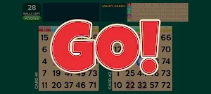 Bingo Deluxe Screenshot 3