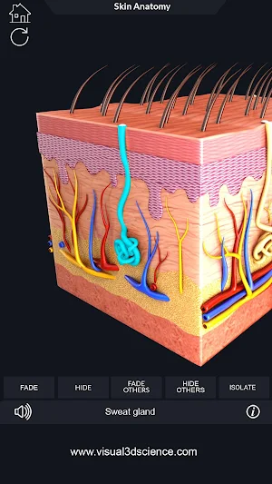 Skin Anatomy Pro. Screenshot 3