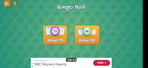 Bingo Hall Screenshot 2