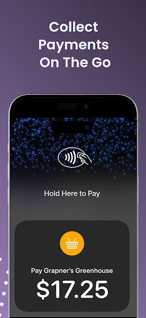 PaymentWiser Pro - Tap to Pay Screenshot 2