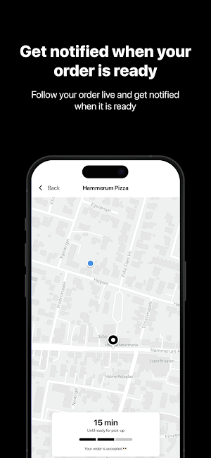 Hammerum Pizza Screenshot 2