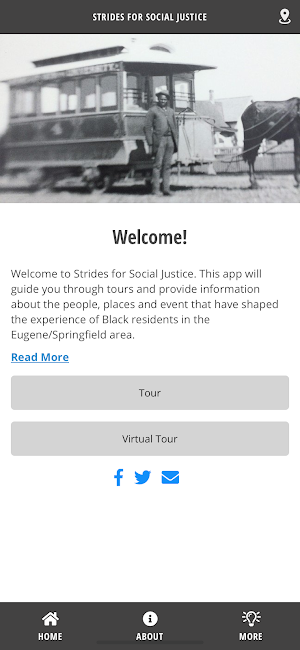 Strides for Social Justice Screenshot 0