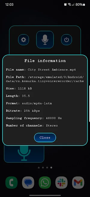 Tiny Voice Recorder Screenshot 2