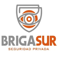 Brigasur