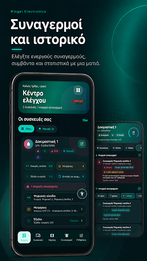 Ringel Electronics Screenshot 1