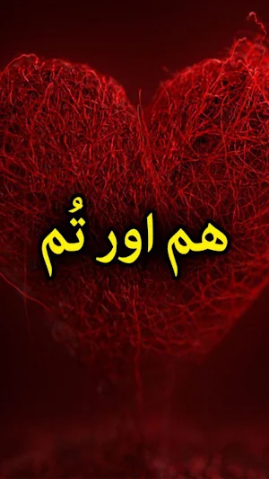 Hum or Tum by Zeela Zafar - Urdu Novel Offline Screenshot 0