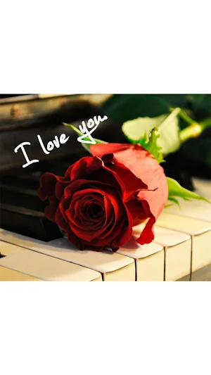 Romantic Love Images Screenshot 2