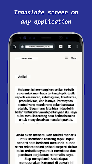 Cosmo Screen & Image Translate Screenshot 0