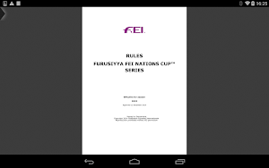 FEI RuleApp Screenshot 2
