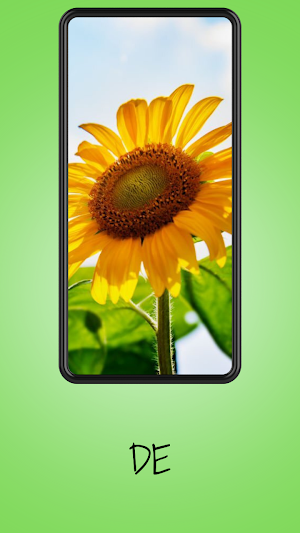 Pretty Flowers Images Screenshot 1