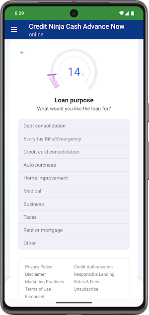 Credit Ninja Cash Advance Now Screenshot 2